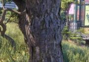 《赛博朋克2077》新高清材质包 让所有树木更逼真